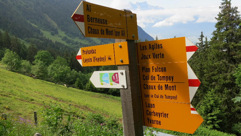 Chemin pédestre